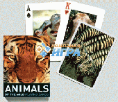 1483 Коллекционные карты "Дикие животные" 55 листов